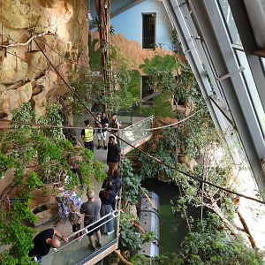 Overview crocodile park