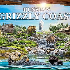 The Award Winning Russia's Grizzly Coast | Zoo Tours