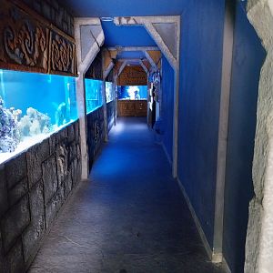 Pavilion of Cold-blooded Animals - First corridor (saltwater)