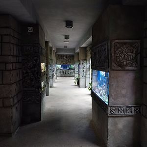 Pavilion of Cold-blooded Animals - Transverse
