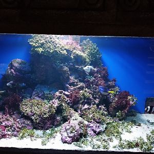 Pavilion of Cold-blooded Animals - Aquarium