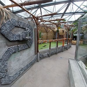 Pavilion of Cold-blooded Animals - Nile Crocodile (Crocodylus niloticus)