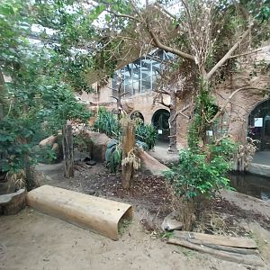 Pavilion of Cold-blooded Animals - Komodo Dragon (Varanus komodoensis)