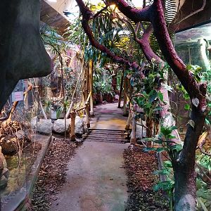 Pavilion of Cold-blooded Animals - Tropical Section