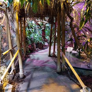 Pavilion of Cold-blooded Animals - Tropical Section