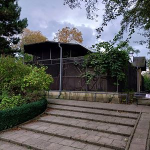 Former Pheasantry - Callithrichidae House