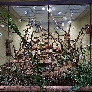 Former Pheasantry - Callithrichidae House