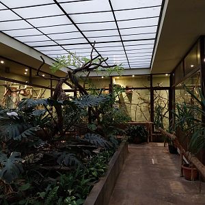 Former Pheasantry - Callithrichidae House