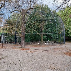 Birdhouse  - Main Aviary