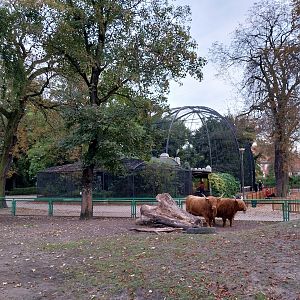 Birdhouse  - Main Aviary