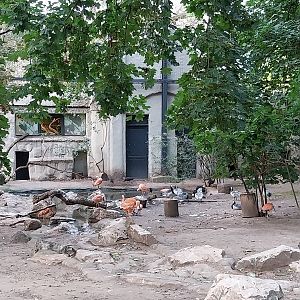 Birdhouse  - Main Aviary