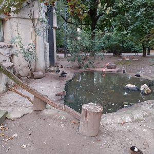 Birdhouse  - Main Aviary