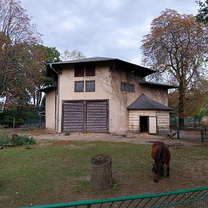 Sloniarnia (Former Pachyderm building)