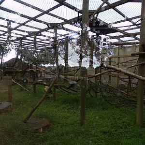 Monkey enclosure (can’t remember what’s in here?) 7.7.24