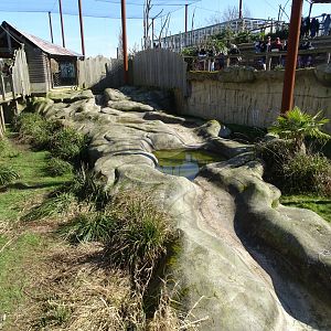 Waterfall of the giant otter exhibit (out of water)