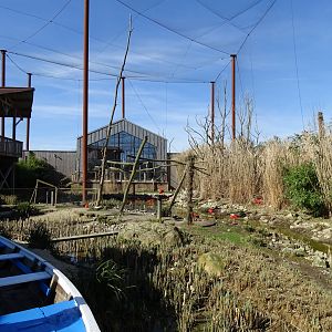 Part of the main aviary