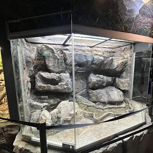 Reptile and Amphibian House