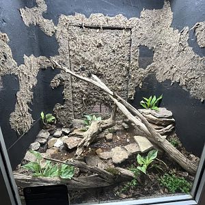 Reptile and Amphibian House