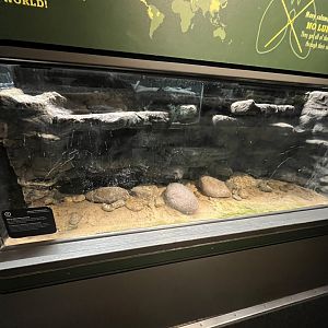 Reptile and Amphibian House