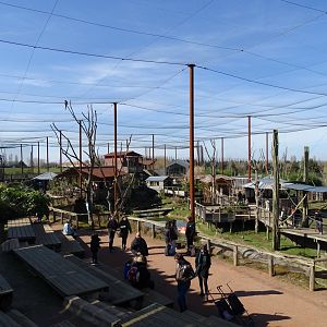 Overview of the aviary