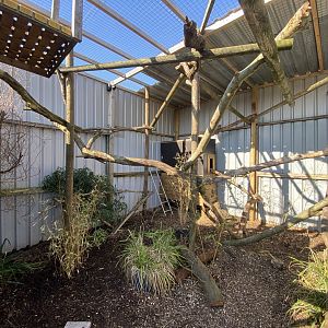 Binturong enclosure 020325