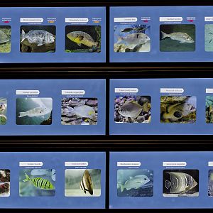 Ocean Exhibit labels