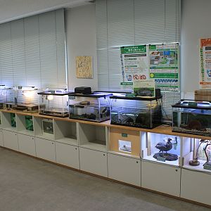 Childrens Zoo exhibition room