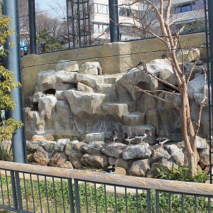 Aviary, Childrens Zoo