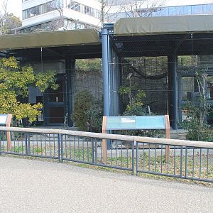 Night Heron aviaries, Childrens Zoo