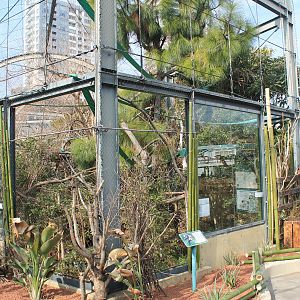 Ruffed Lemur enclosure