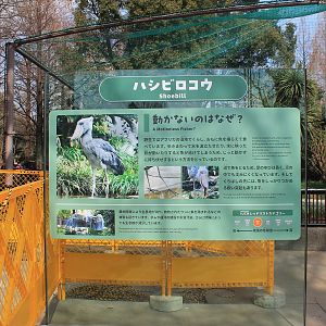 Shoebill signage