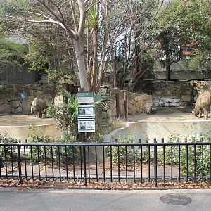 Black Rhino enclosures