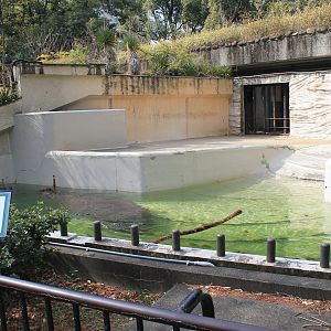 Common Hippo enclosure