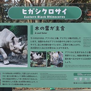 Rhino signage