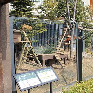 Red Panda enclosure