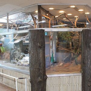 Flying Fox enclosures