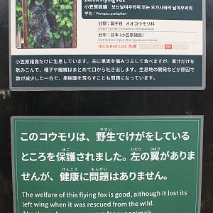 Bonin Island Flying Fox signage