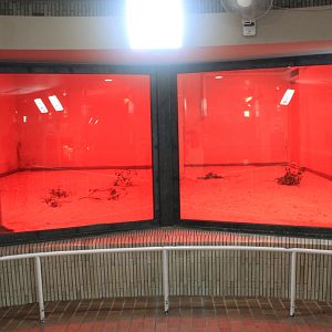 Aardvark enclosures