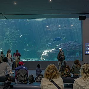 Ocean Exhibit