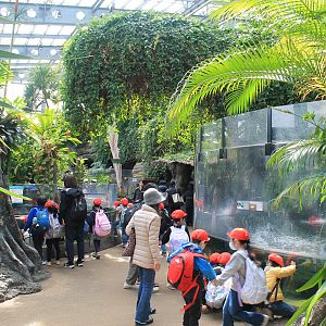 Interior of Vivarium