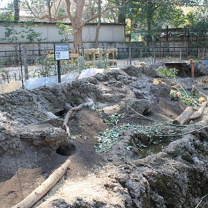 Black-tailed Prairie Dog enclosure