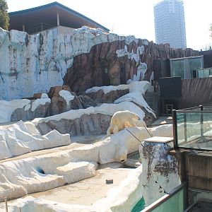 Polar Bear enclosure