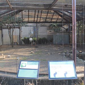 Red-crowned Crane aviary