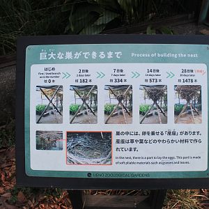 Hamerkop nest-building signage