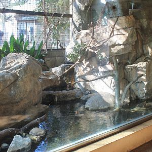 Aviary in Japanese Bird House