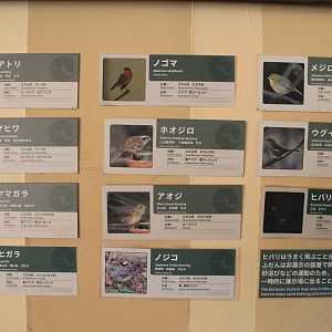 Signage in Japanese Bird House