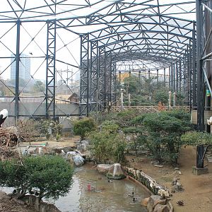 Interior of Flight Aviary