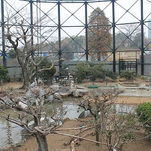 Interior of Flight Aviary
