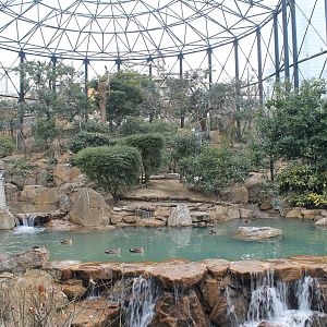 Interior of Flight Aviary