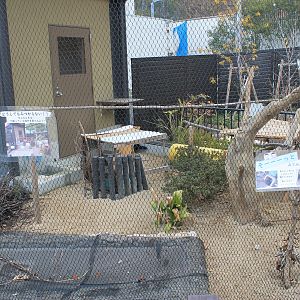 World of Birds aviary example